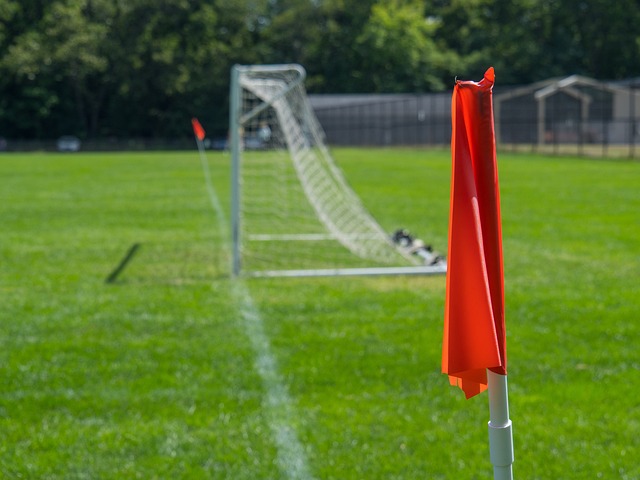 适宜腾飞的 适宜腾飞的