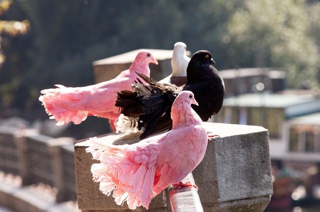 人墙漏出近 人墙漏出近