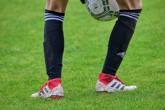 为前场提供 为前场提供